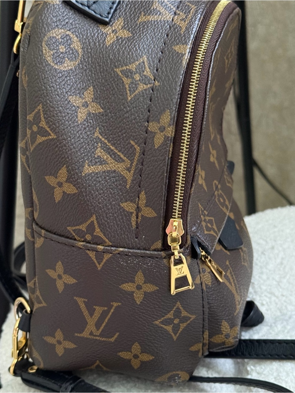Louis Vuitton Palm Springs Mini Monogram Backpack - Picture 7 of 12